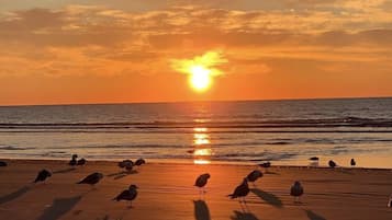 Sun-loungers, beach towels