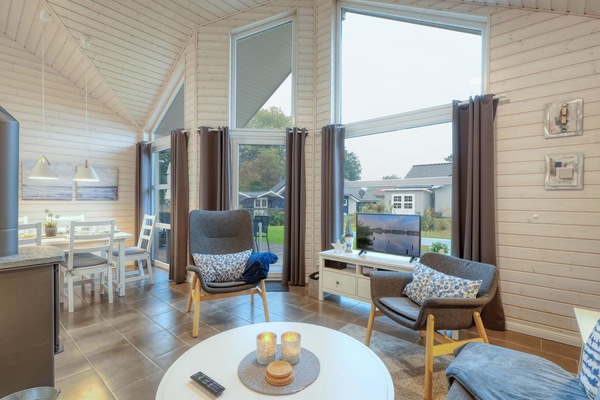 Télévision, cheminée, lecteur de DVD