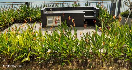 Studio Seaview