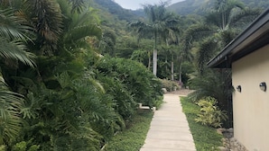 Ein Pfad schlängelt sich durch einen üppigen Garten mit verschiedenen tropischen Pflanzen und einem Berg im Hintergrund.