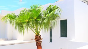 Un edificio blanco con una palmera frente a él.