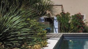 Piscina com deck de madeira e vegetação exuberante, incluindo plantas semelhantes a palmeiras e arbustos floridos.