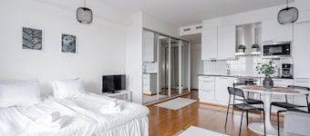 Lake View 7th Floor Studio next to Downtown