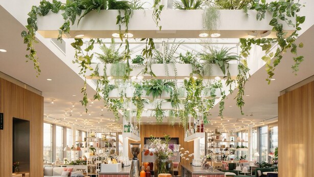 A modern interior with a central dining area, wooden flooring, and hanging plants. - Zoku Vienna (Vienna)