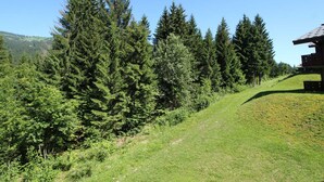 A wooden cabin with a sloped roof, surrounded by dense evergreen trees and a grassy hillside.