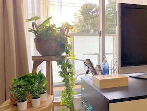 Quarto com uma grande janela, uma escrivaninha de madeira, uma televisão e vários vasos com plantas.