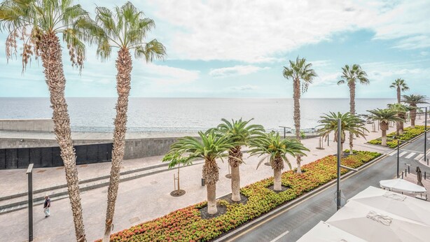 Un paseo marítimo con palmeras y vista al mar.