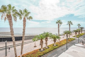 A coastal promenade with palm trees and a view of the sea.