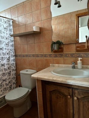 Secadora de cabello, toallas, papel de baño