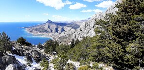 Un paysage montagneux comprenant une ville côtière, un terrain rocheux et de vastes forêts de pins.