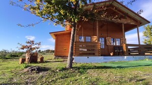 Una cabaña de madera con porche, ventanas amplias y un patio cubierto de césped.