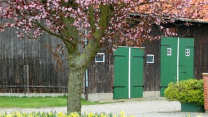 A rustic barn with green doors, surrounded by a gravel path and yellow daffodils. - Kuschelige Butze an der Ostsee (Heringsdorf)