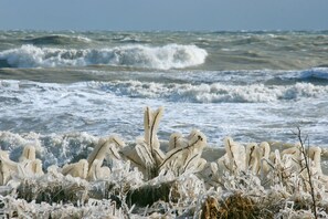 A coastal scene with waves crashing onto a frozen shore, featuring ice formations and sparse vegetation. - Kuschelige Butze an der Ostsee (Heringsdorf)