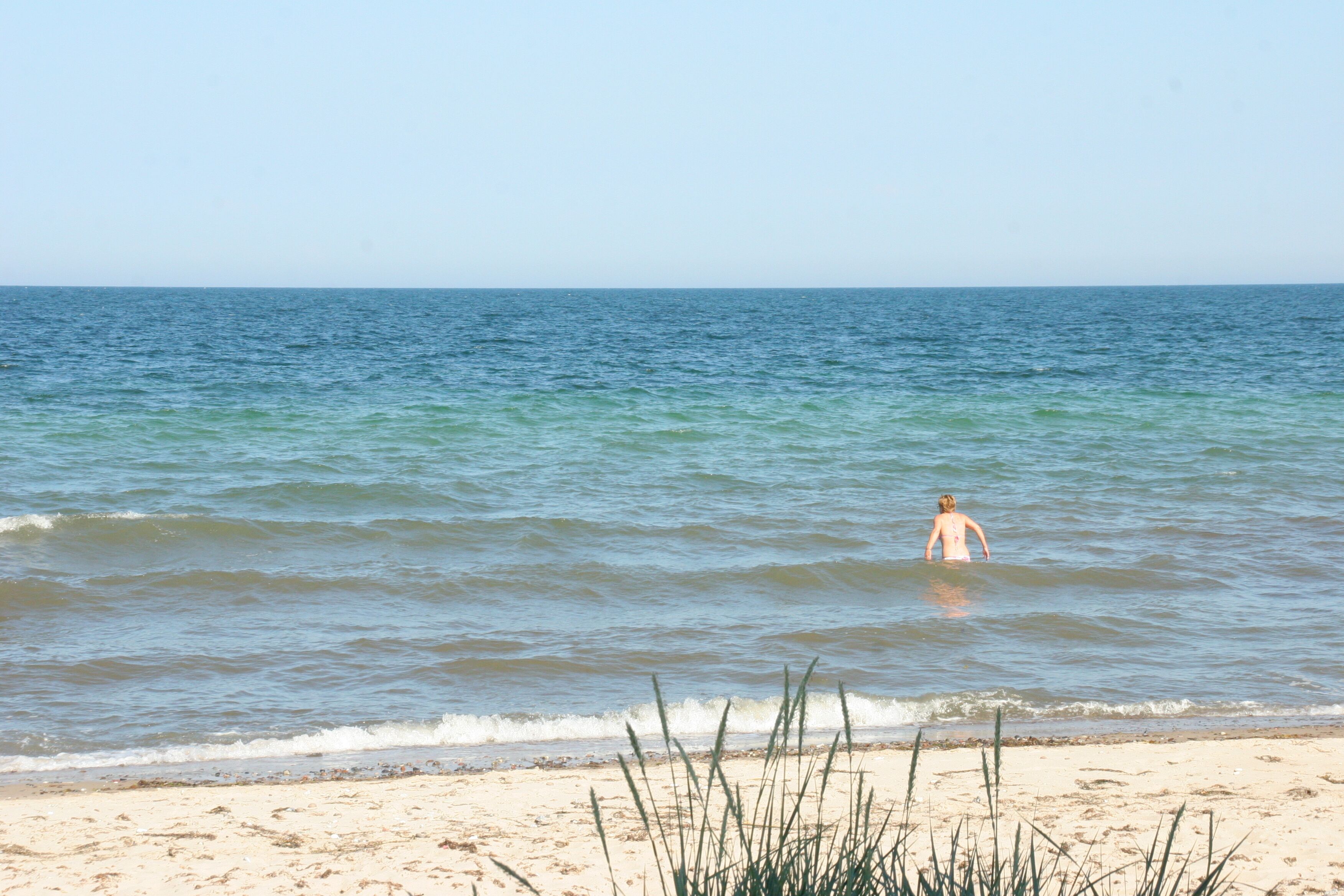 Playa en los alrededores y camastros 