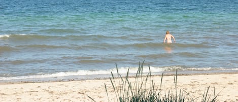 Playa en los alrededores y camastros