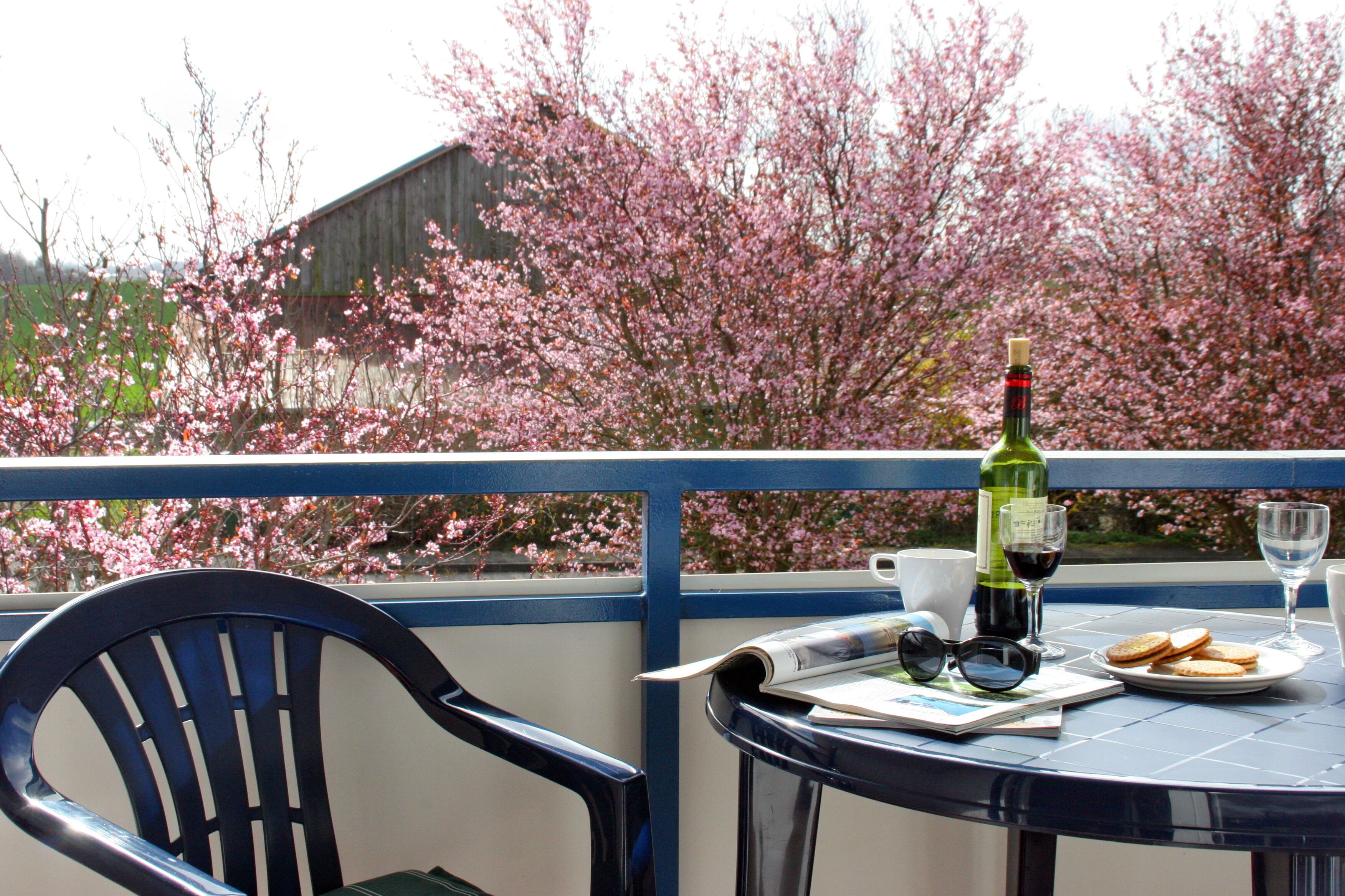 A table with a bottle of wine, glasses, a plate of cookies, and a chair on a balcony with a view of blooming trees.