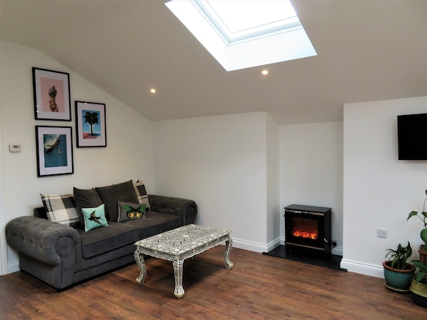 TV, fireplace