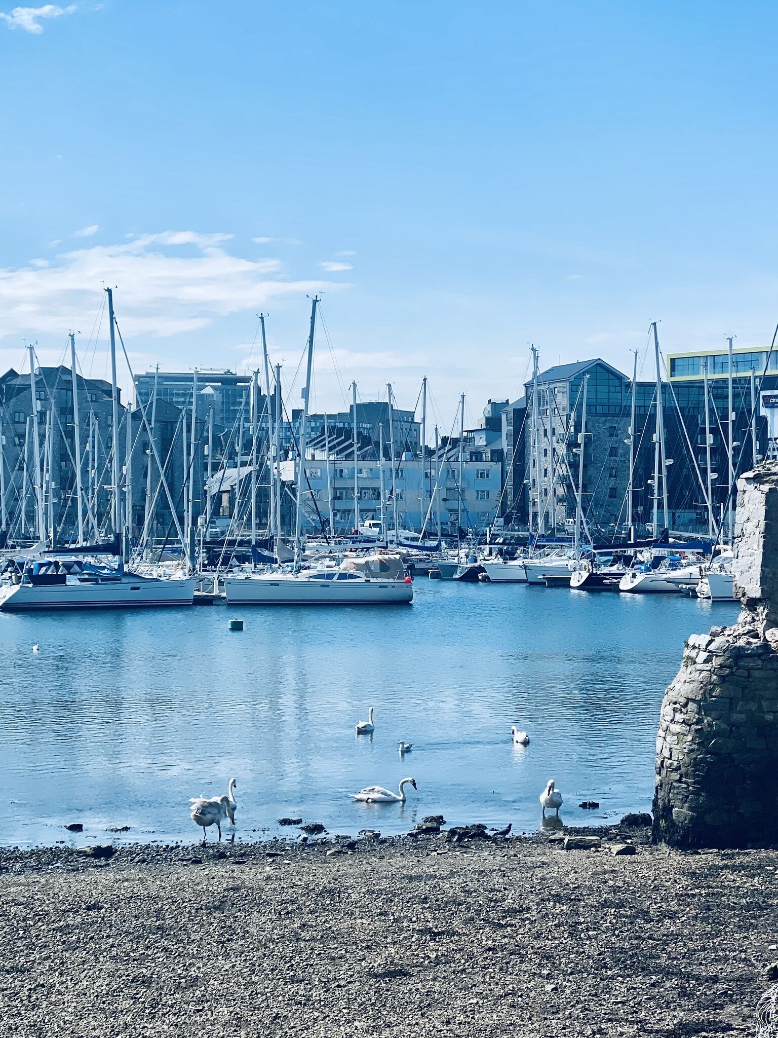 Deluxe Apartment, Ensuite | Point of interest