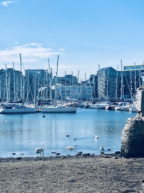 华丽公寓, 独立浴室 | 兴趣点