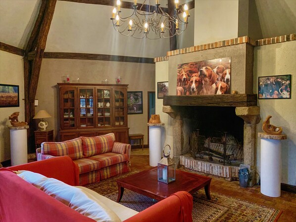 TV, fireplace, table tennis - Magnificent estate in Sologne on 53 hectares 25 people (Pruniers-en-Sologne)