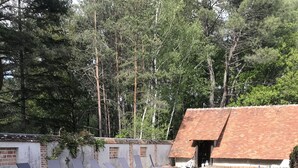 Ein Schwimmbecken mit Liegestühlen und einer Backsteinmauer.