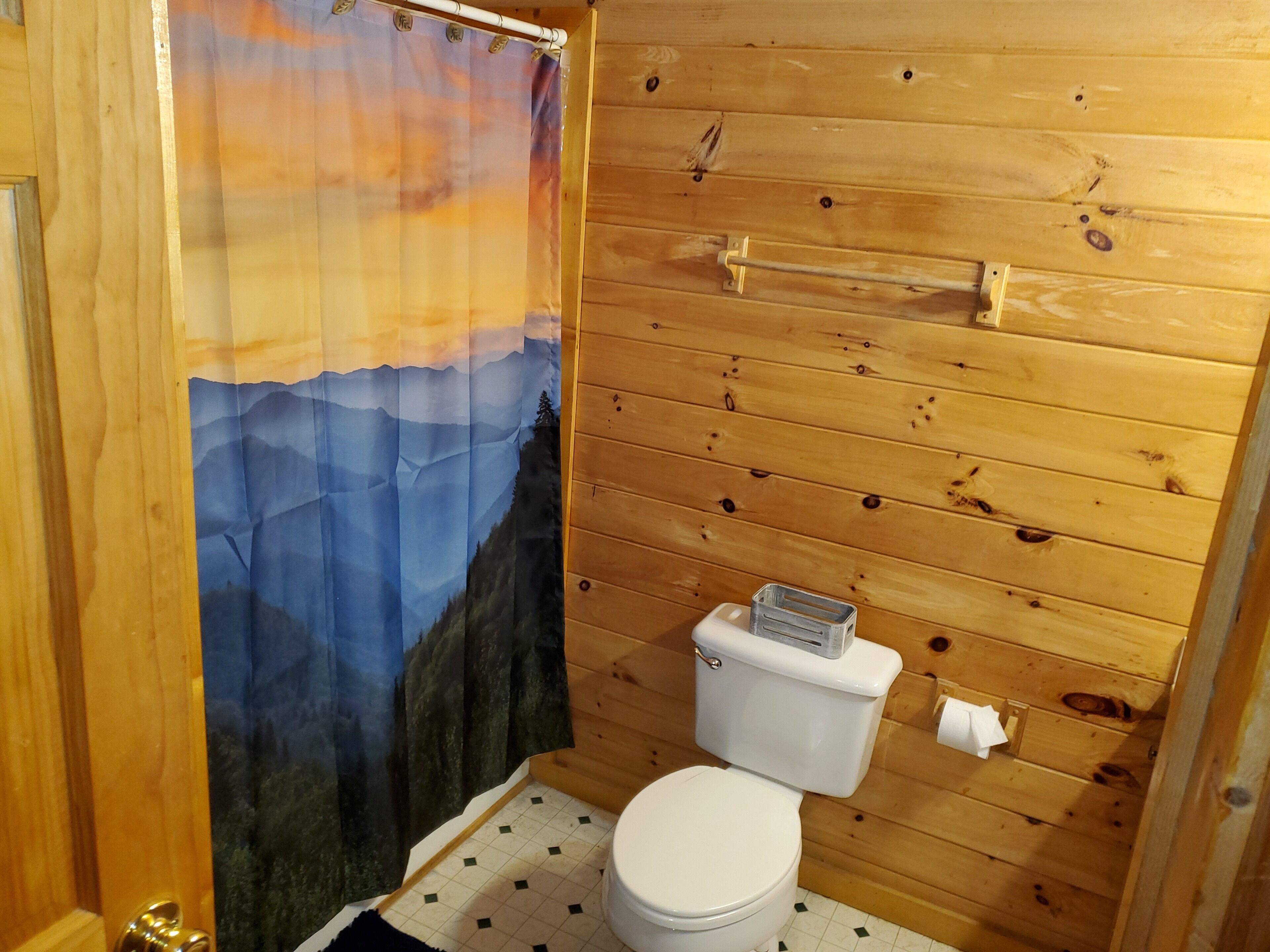 A small wooden bathroom with a toilet, a towel rack, and a shower curtain with a mountain scene.
