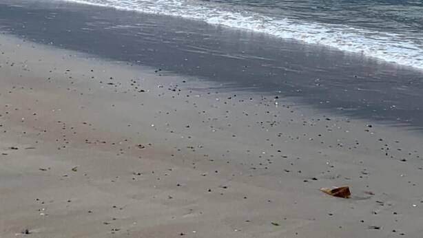 A beach with a sandy shore and calm waves. - Apartment 101 Kingsmills Road (Inverness)