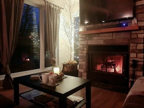 TV, fireplace, DVD player, stereo