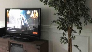Un soggiorno con una televisione a schermo piatto su un mobile in legno, una pianta in vaso e una ventola a soffitto.