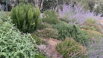 Áreas de la propiedad