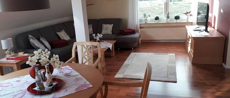 TV, DVD player, books, music library