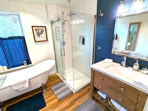 Bathtub, hair dryer, shampoo