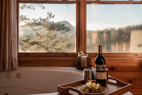 Bear Vista Retreat w HotTub Pool View