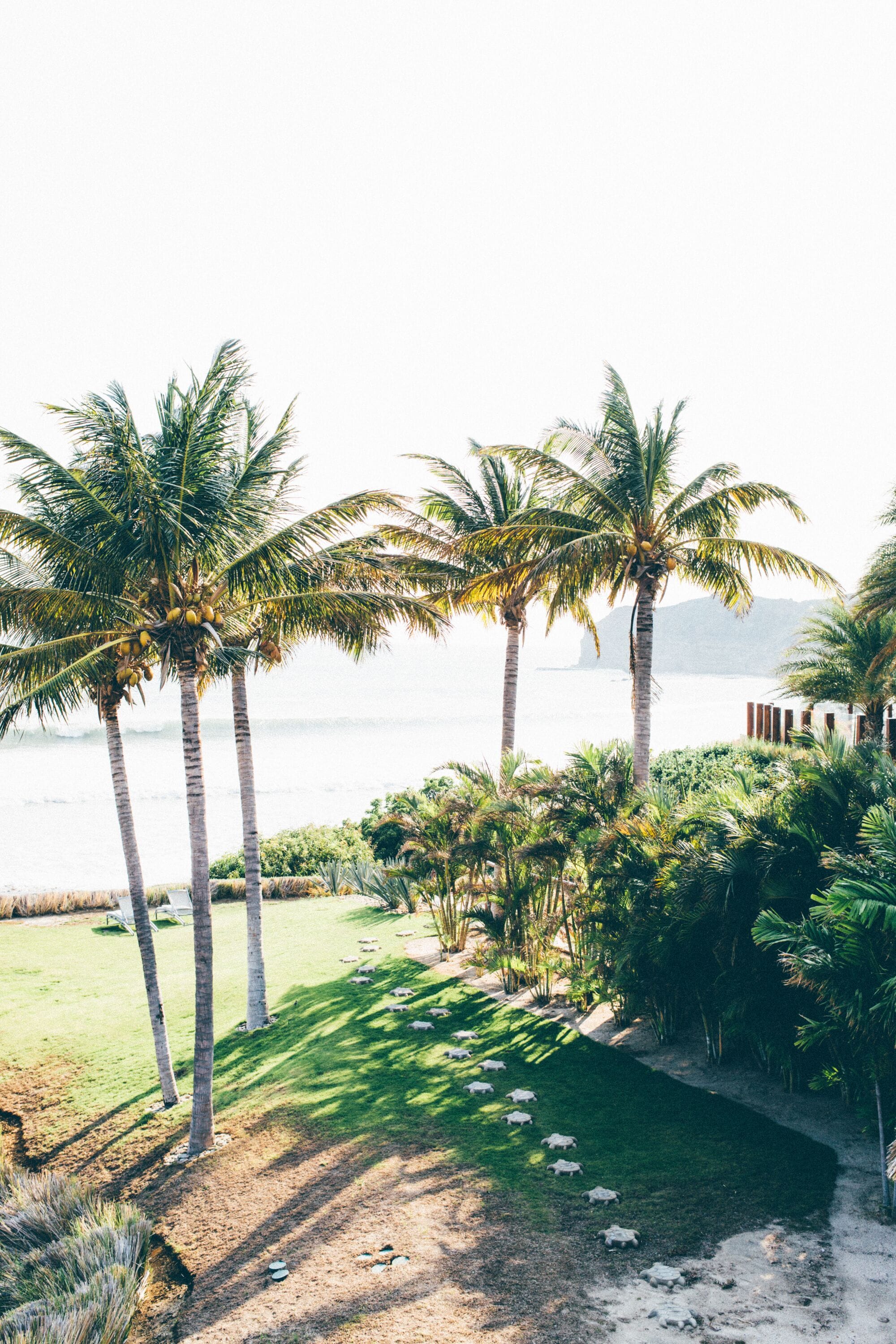 Un jardín tropical con palmeras y un sendero que lleva a una playa.