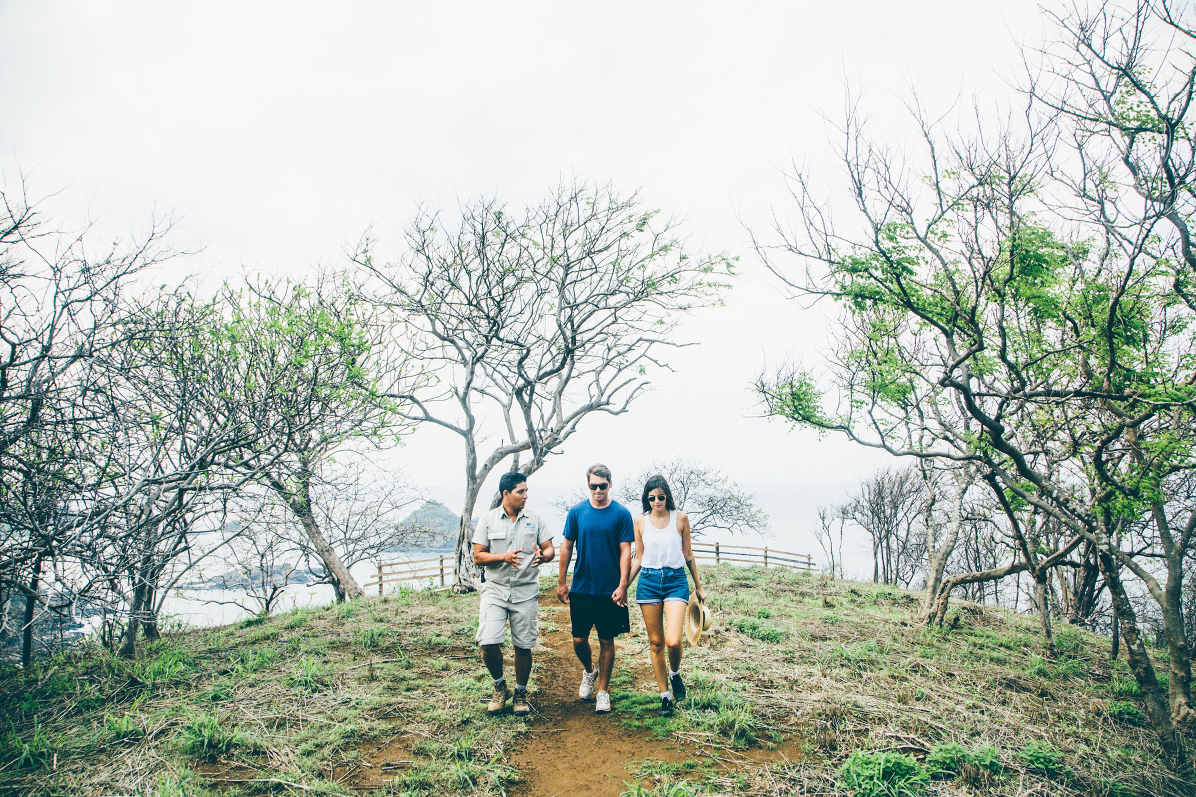 Three people walking on a dirt path surrounded by trees.