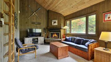 TV, DVD player, video library, stereo