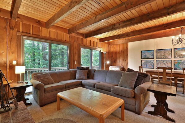 TV, fireplace, DVD player