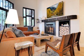 TV connectée, cheminée, chaßne hi-fi