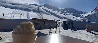 Vacation apartment with panoramic views of the Swiss mountains