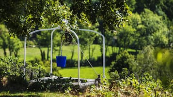 A swing set with a blue bucket hanging from it, surrounded by greenery.