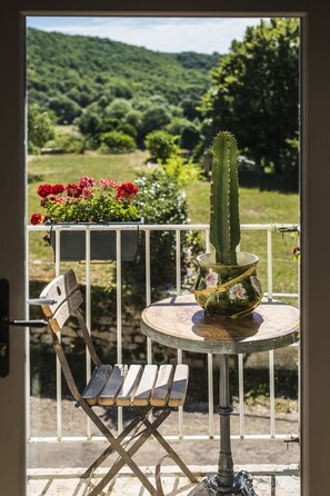 A balcony with a cactus, a chair, and a table with a flower pot. - Le Domaine des Carriers - Chambres (Chevroches)