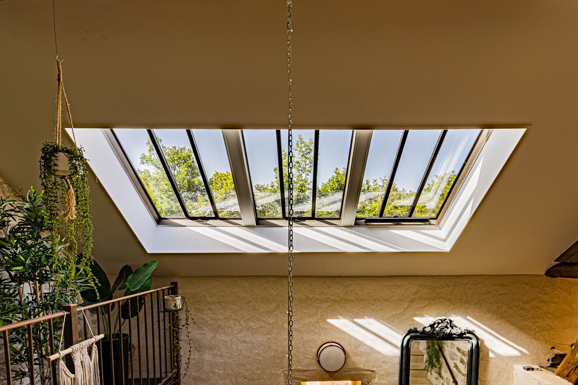 A room with a skylight, a hanging plant, and a mirror.