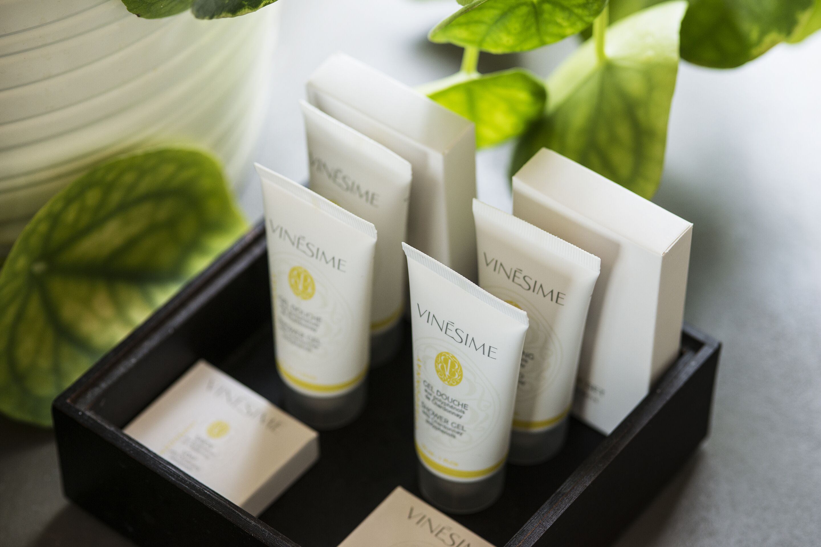 A set of skincare products from Vinesime arranged in a black tray.