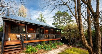 Mountain Den | Charming pet friendly mountains cottage!