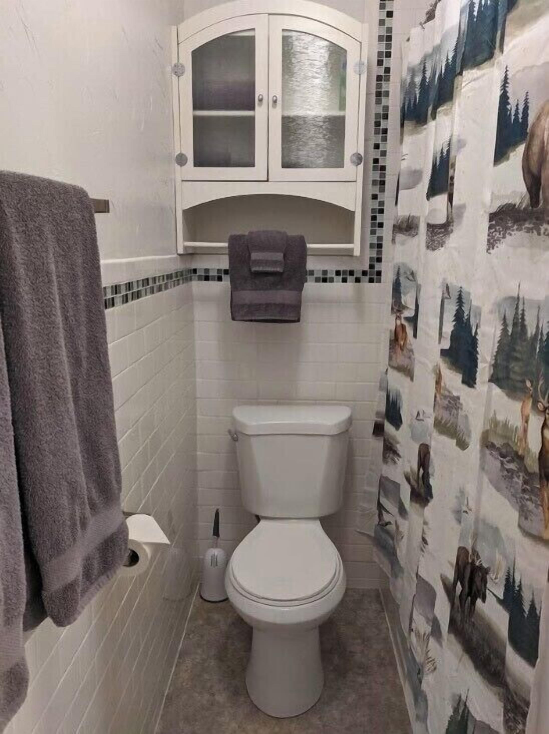 Hair dryer, towels, toilet paper