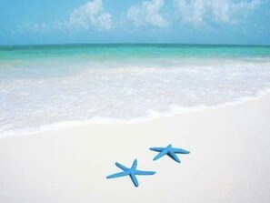 Beach nearby, sun-loungers, beach towels