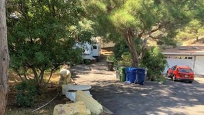 Property grounds - Cozy Mallard RV. Light, bright and inspiring trailer amongst the Pine trees. (Topanga)