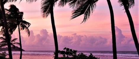 Rannalla, aurinkotuoleja, rantapyyhkeitä