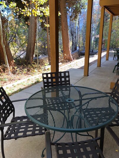 Riverfront Condo #1w/patio,1blk 2 town,King bed,Wifi-200mbps, 40min 2 WinterPark