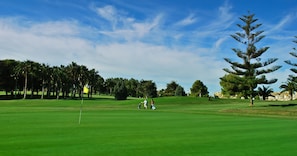 Golfkenttä, jossa on lipunvarsi, palmuja ja mänty.